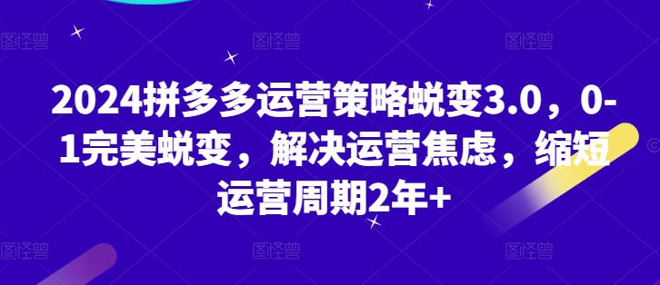 2024拼多多运营策略蜕变3.0，0-1完美蜕变，解决运营焦虑，缩短运营周期2年+-599资源坊