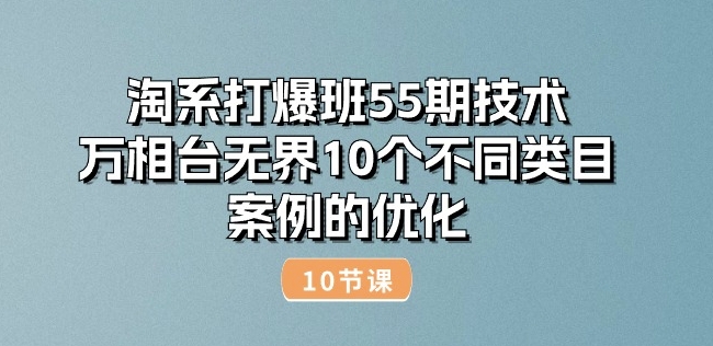 淘系打爆班55期技术：万相台无界10个不同类目案例的优化(10节)-599资源坊