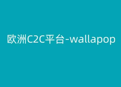 欧洲C2C平台-wallapop-kim跨境电商教程-599资源坊