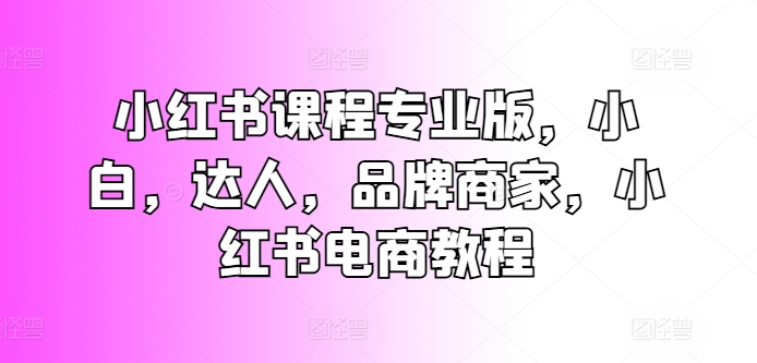 小红书课程专业版，小白，达人，品牌商家，小红书电商教程-599资源坊