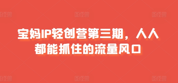 宝妈IP轻创营第三期，人人都能抓住的流量风口-599资源坊