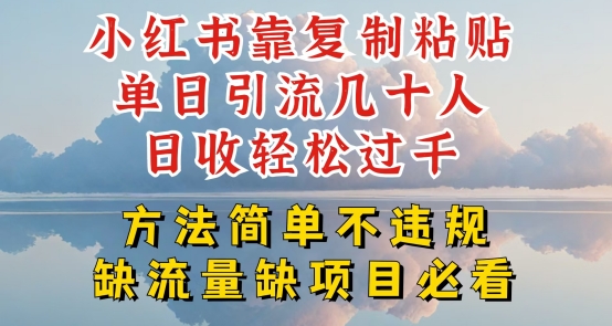 小红书靠复制粘贴单日引流几十人目收轻松过千，方法简单不违规【揭秘】-599资源坊