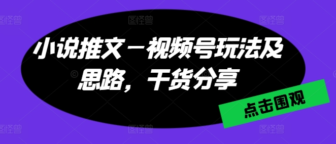 小说推文—视频号玩法及思路，干货分享-599资源坊