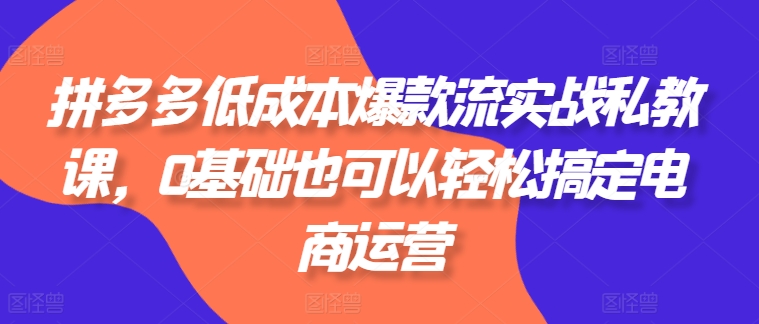 拼多多低成本爆款流实战私教课，0基础也可以轻松搞定电商运营-599资源坊