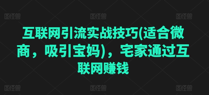 互联网引流实战技巧(适合微商，吸引宝妈)，宅家通过互联网赚钱-599资源坊