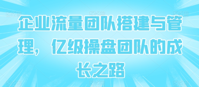 企业流量团队搭建与管理，亿级操盘团队的成长之路-599资源坊