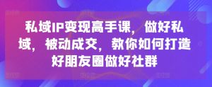 私域IP变现高手课,做好私域,被动成交,教你如何打造好朋友圈做好社群-599资源坊