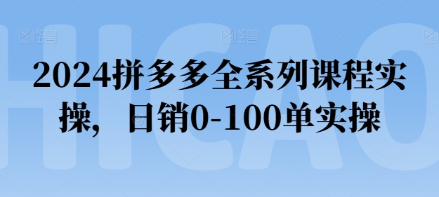 2024拼多多全系列课程实操，日销0-100单实操【必看】-599资源坊