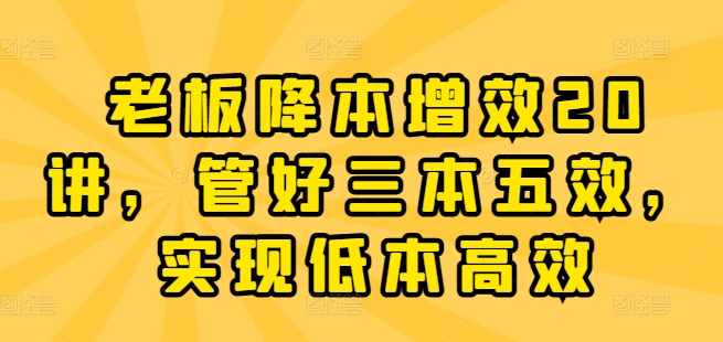 老板降本增效20讲，管好三本五效，实现低本高效-599资源坊