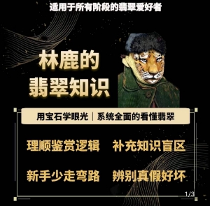 林鹿的翡翠知识，​用宝石眼光，系统全面的看懂翡翠-599资源坊