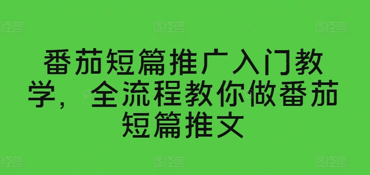番茄短篇推广入门教学，全流程教你做番茄短篇推文-599资源坊