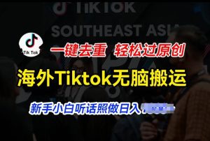 海外Tiktok短视频无脑搬运,一键去重轻松过原创,新手小白听话照做日入几张【揭秘】-599资源坊