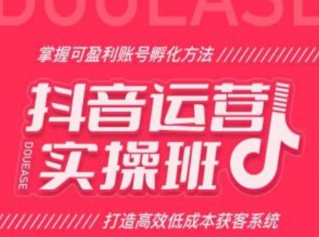 抖音运营实操班，掌握可盈利账号孵化方法，打造高效低成本获客系统-599资源坊