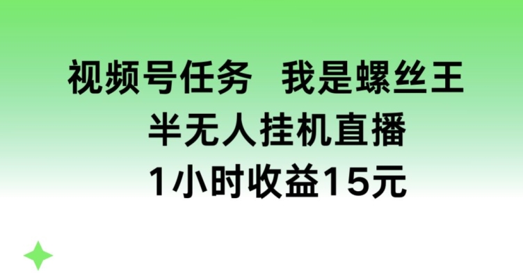 视频号任务，我是螺丝王， 半无人挂机1小时收益15元【揭秘】-599资源坊