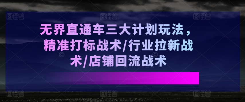 无界直通车三大计划玩法，精准打标战术/行业拉新战术/店铺回流战术-599资源坊
