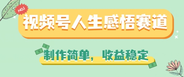 视频号人生感悟赛道，制作简单，收益稳定【揭秘】-599资源坊