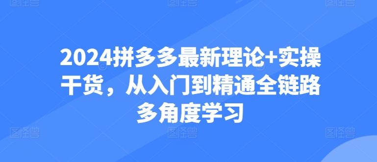 2024拼多多最新理论+实操干货，从入门到精通全链路多角度学习-599资源坊