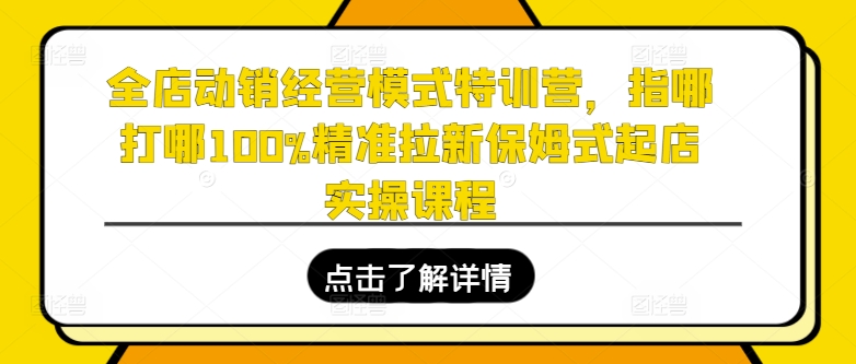 全店动销经营模式特训营，指哪打哪100%精准拉新保姆式起店实操课程-599资源坊