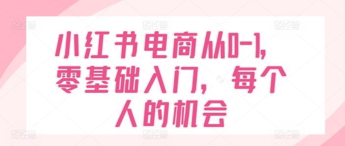 小红书电商从0-1，零基础入门，每个人的机会-599资源坊