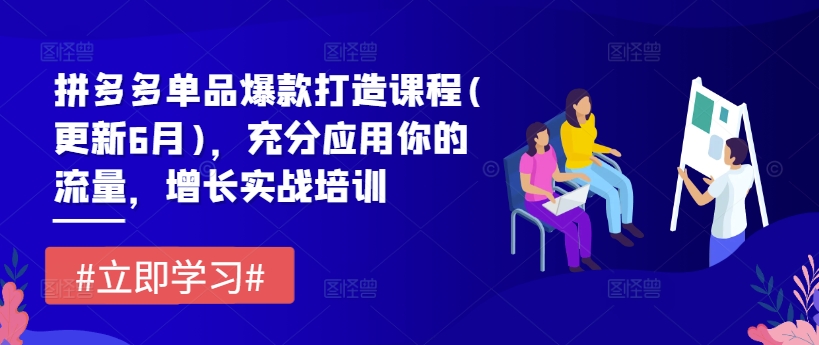 拼多多单品爆款打造课程(更新6月)，充分应用你的流量，增长实战培训-599资源坊
