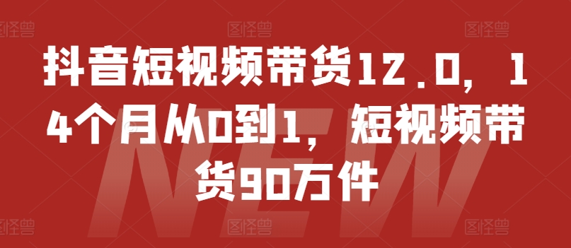 抖音短视频带货12.0，14个月从0到1，短视频带货90万件-599资源坊