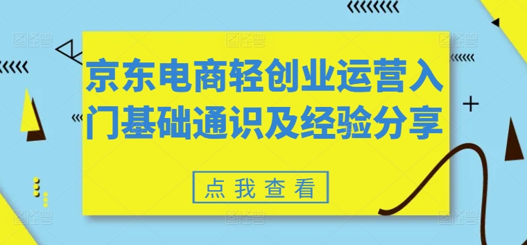 京东电商轻创业运营入门基础通识及经验分享-599资源坊
