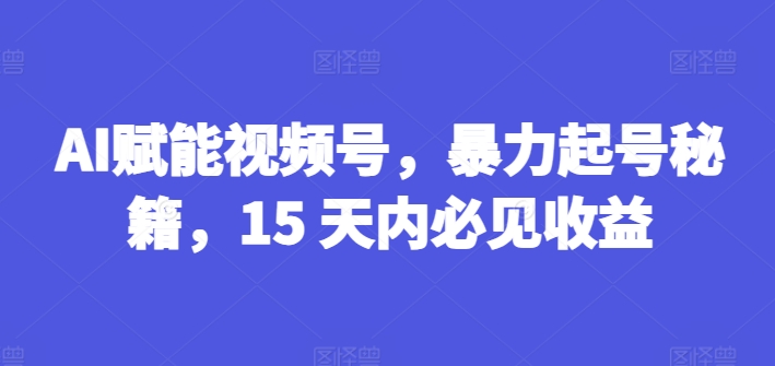 AI赋能视频号，暴力起号秘籍，15 天内必见收益【揭秘】-599资源坊
