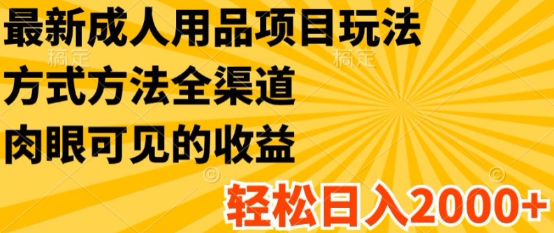 最新成人用品项目玩法，方式方法全渠道，轻松日入2K+【揭秘】-599资源坊