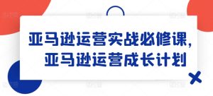 亚马逊运营实战必修课,亚马逊运营成长计划-599资源坊