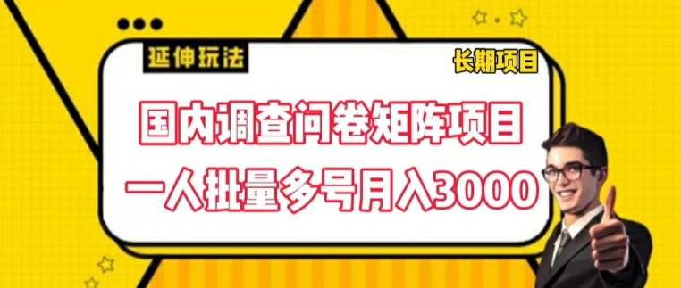 国内调查问卷矩阵项目，一人批量多号月入3000【揭秘】-599资源坊