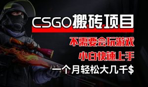 CSGO 装备搬砖项目,操作简单,不需要会玩游戏,小白也能快速上手,一个月轻松大几千【揭秘】-599资源坊