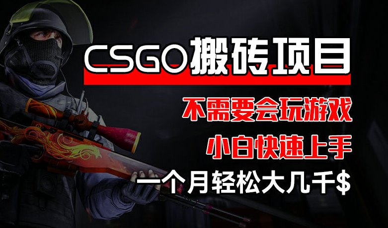CSGO 装备搬砖项目，操作简单，不需要会玩游戏，小白也能快速上手，一个月轻松大几千【揭秘】-599资源坊