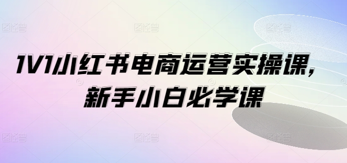 1V1小红书电商运营实操课，新手小白必学课-599资源坊