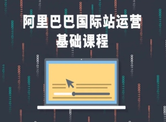 阿里巴巴国际站课程，阿里巴巴国际站运营基础课程-599资源坊