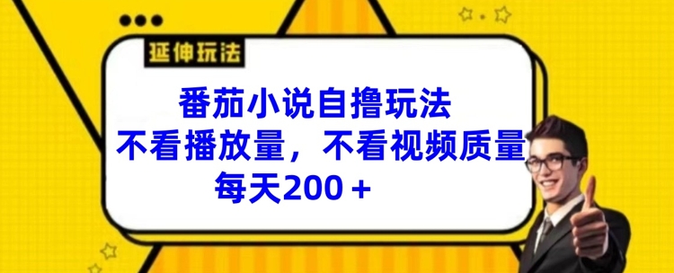 番茄小说自撸玩法，不看播放量，不看视频质量，每天200+【揭秘】-599资源坊