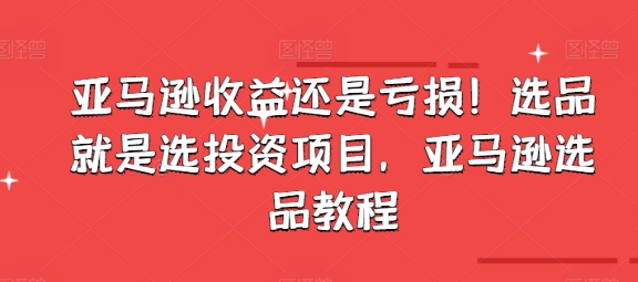 亚马逊收益还是亏损！选品就是选投资项目，亚马逊选品教程-599资源坊