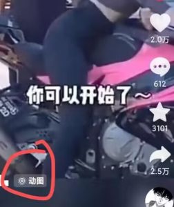 2024年7月苹果手机动图搬运技术-599资源坊