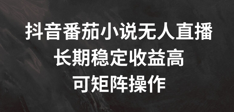 抖音番茄小说无人直播，长期稳定收益高，可矩阵操作【揭秘】-599资源坊