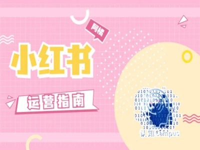 小红书运营指南，没有套路，全是经验-599资源坊