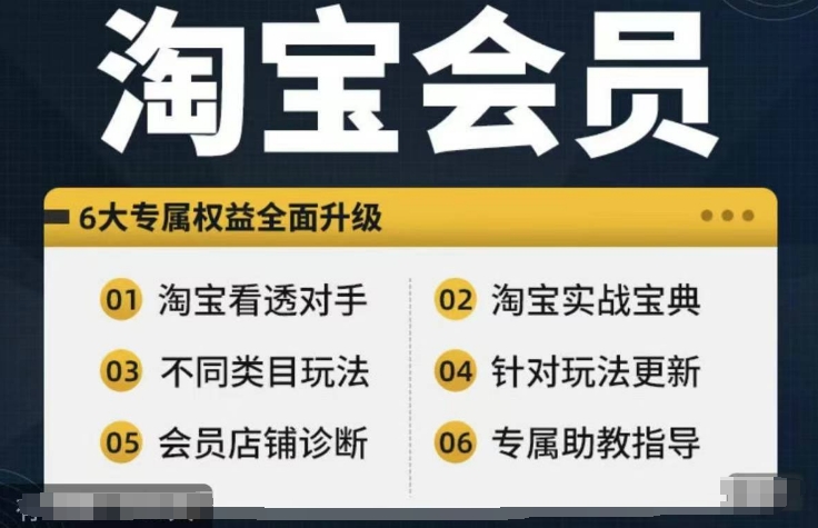 淘宝会员【淘宝所有课程，全面分析对手】，初级到高手全系实战宝典-599资源坊