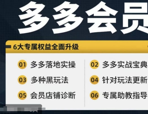 拼多多会员，拼多多实战宝典+实战落地实操，从新手到高阶内容全面覆盖-599资源坊