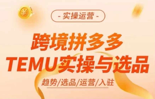 跨境拼多多TEMU实操与选品，多多temu跨境选品运营实操-599资源坊