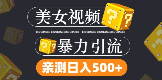 搬运tk美女视频全网分发，日引s粉300+，轻松变现，不限流量不封号【揭秘】-599资源坊