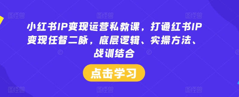 小红书IP变现运营私教课，打通红书IP变现任督二脉，底层逻辑、实操方法、战训结合-599资源坊