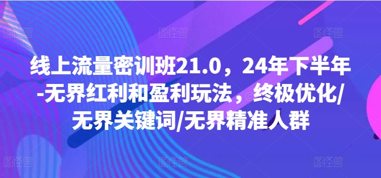 线上流量密训班21.0，24年下半年-无界红利和盈利玩法，终极优化/无界关键词/无界精准人群-599资源坊