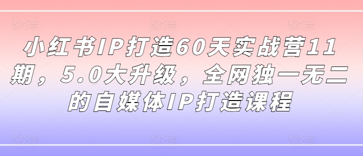 小红书IP打造60天实战营11期，5.0大升级，全网独一无二的自媒体IP打造课程-599资源坊