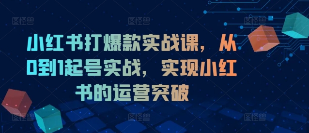 小红书打爆款实战课，从0到1起号实战，实现小红书的运营突破-599资源坊