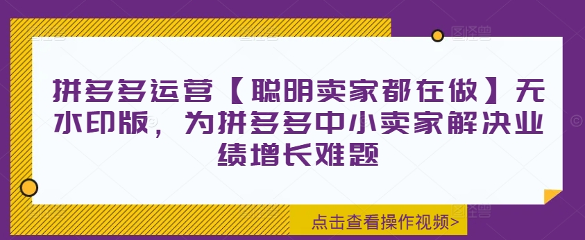拼多多运营【聪明卖家都在做】无水印版，为拼多多中小卖家解决业绩增长难题-599资源坊