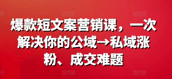 爆款短文案营销课，一次解决你的公域→私域涨粉、成交难题-599资源坊