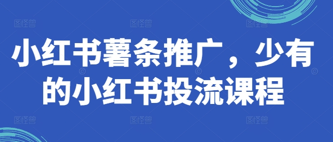 小红书薯条推广，少有的小红书投流课程-599资源坊